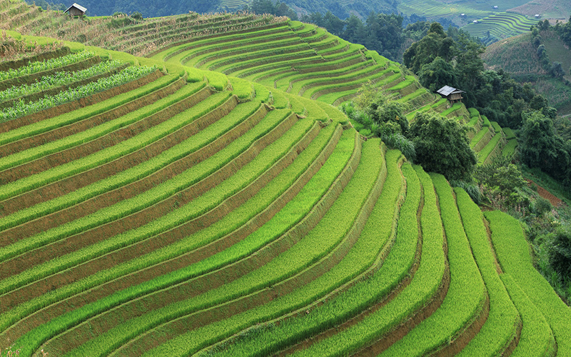 Ha Giang travel experience