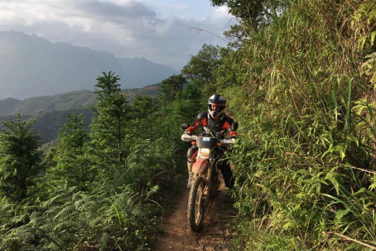 Motorbike tour Vietnam