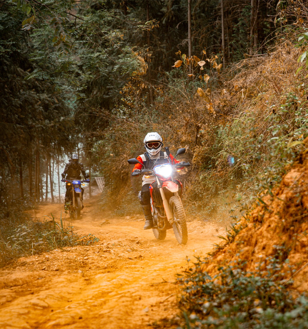 Day 13: Da Lat - Cat Tien National Park (APPROX 200 KM) (B/L/D)