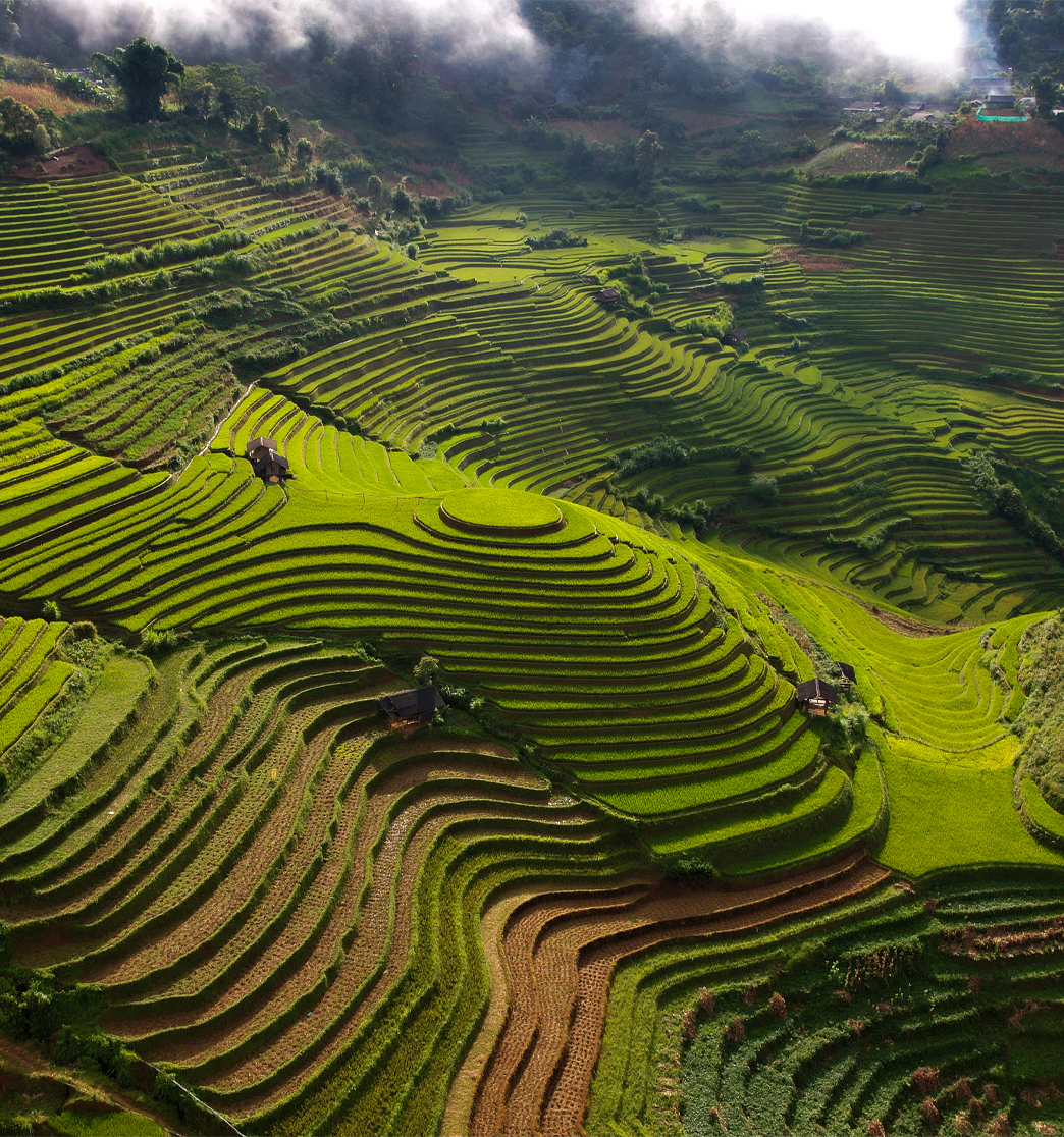 Day 4: TRAM TAU - MU CANG CHAI (B/L/D)