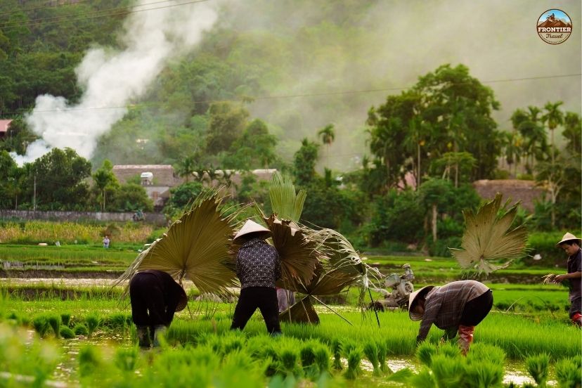 Meo vac sunday market brings Ha Giang's highland culture to life