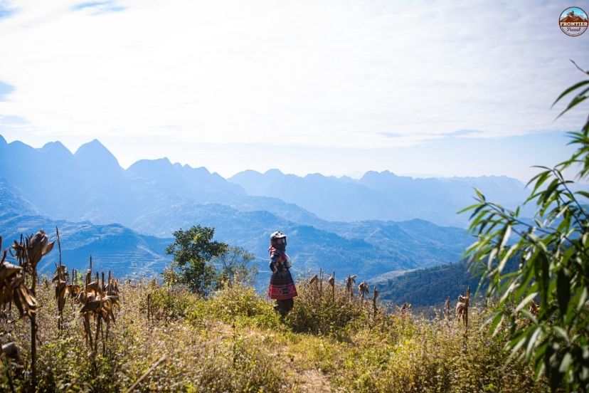 Mountain curves and ocean mist define the iconic journey across hai van pass