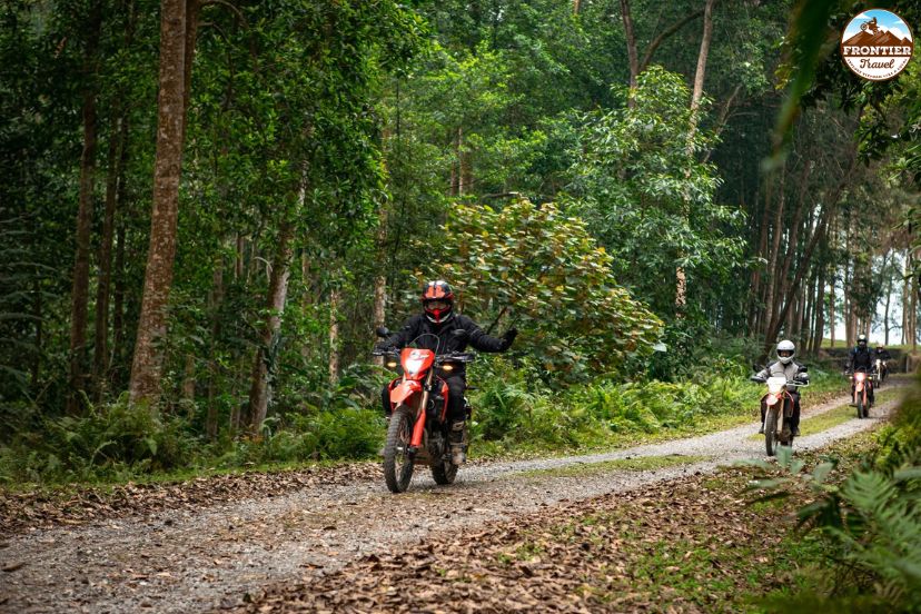 Jungle roads around Phong Nha Karst Mountains