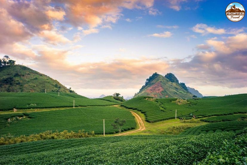 Rolling tea hills in Moc Chau Vietnam
