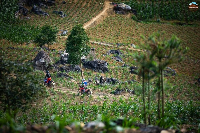 Bypassing summer deluge months safety during your best time to do Ha Giang Loop.