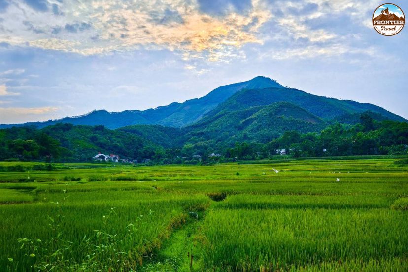 Mountain roads and buckwheat flowers in Vietnam