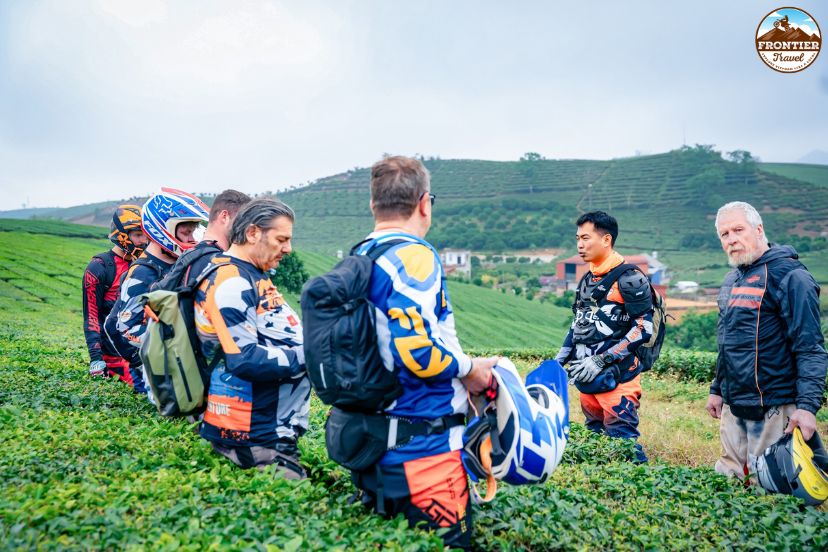 Hidden tea plantations of Moc Chau by motorbike
