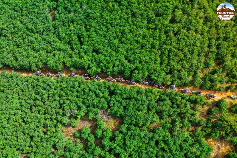 Northern Vietnam tea plantation riding experience