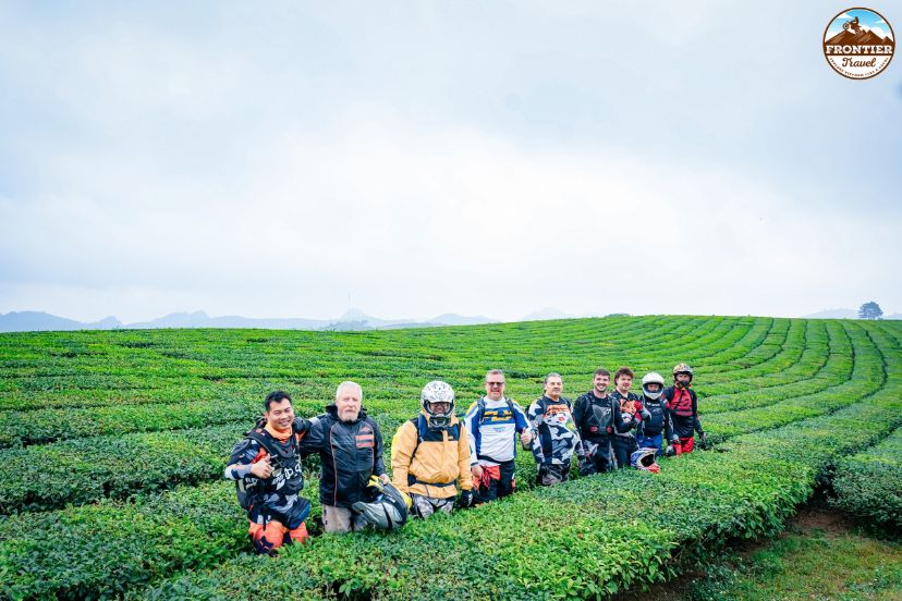 Ride through the green tea valleys of Moc Chau