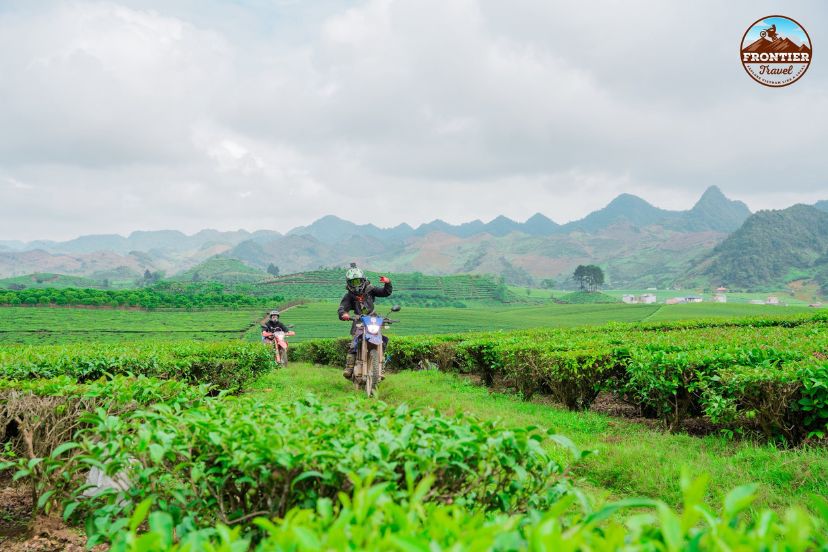 Discovering Vietnam's length in a fortnight trip