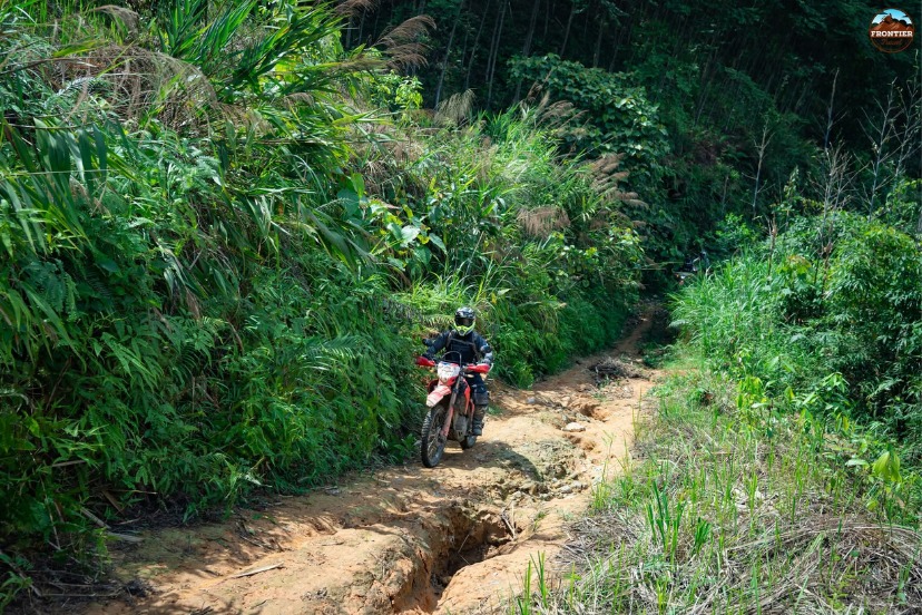 Mountain journeys reveal forests, valleys, and drifting clouds along the way