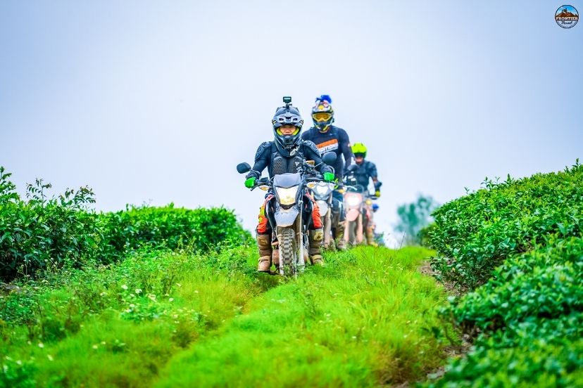 Spring blossoms create a stunning mountain ride backdrop