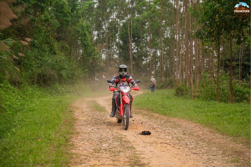 Experience a safe and well organized journey with guided motorbike tours vietnam
