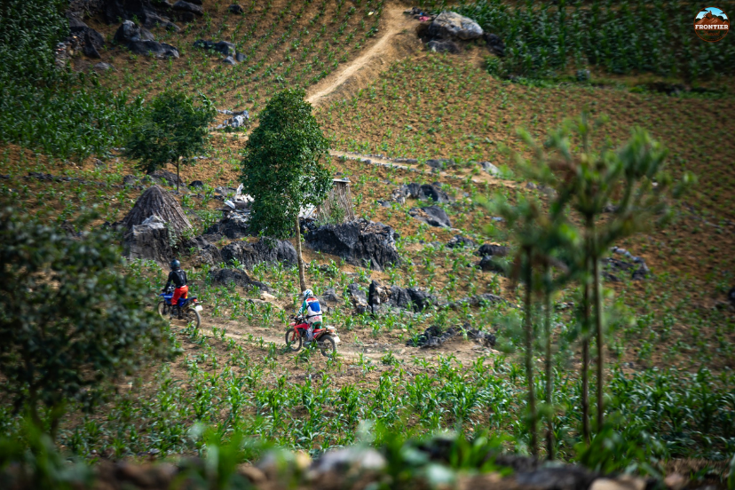 Easy riders deliver relaxing panoramic mountain journeys 