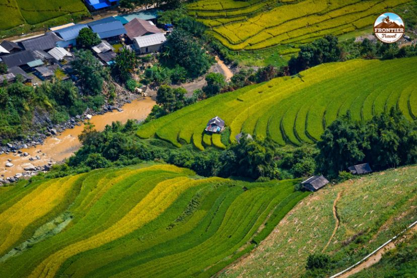 Mu Cang Chai rice terraces travel experience
