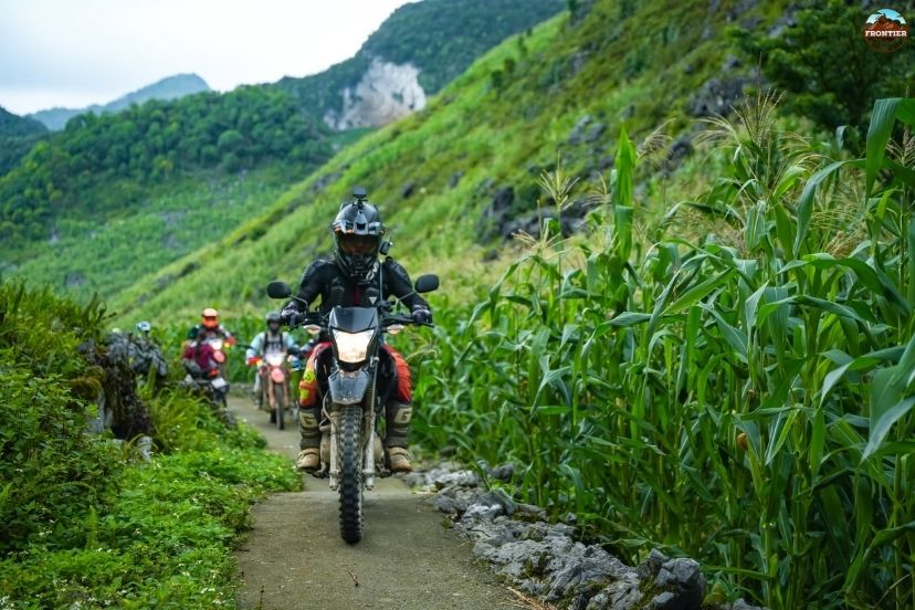 Reflective materials enhance visibility and improve rider safety